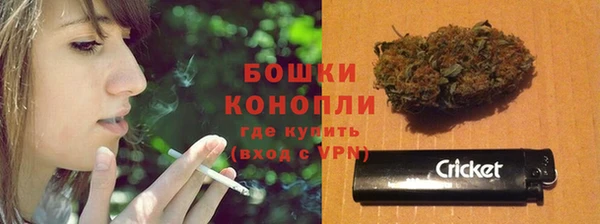 соль ск Арсеньев