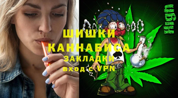 соль ск Арсеньев
