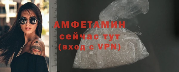 гидра Аркадак