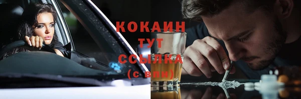 гидра Аркадак