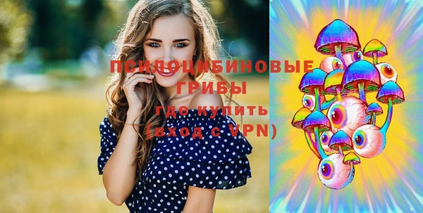 альфа пвп Няндома