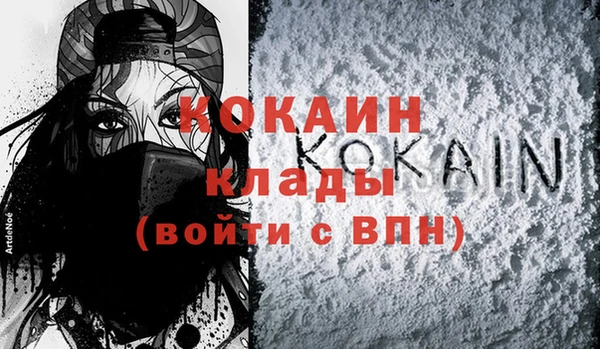 соль ск Арсеньев