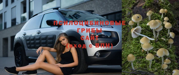 соль ск Арсеньев