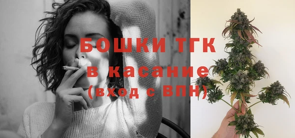гидра Аркадак