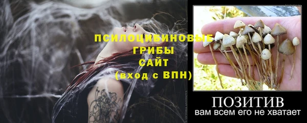индика Армянск