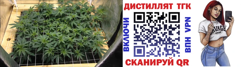ТГК жижа Кизел